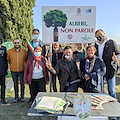 Alberi, non parole: a Montepulciano nasce il bosco piantato dai viticoltori