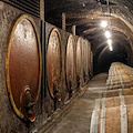 Antica Cantina Leonardi Vini Laziali