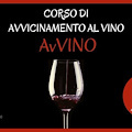 AvVino “Avvicinamento al Vino”