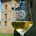 Calici in Rocca: a Scandiano (Re) la sedicesima edizione dell’evento dedicato alle eccellenze viticole del territorio