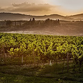 Cantine Aperte in Toscana con storie di vino... storie di pane…