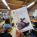 Tartufo in Campania: l’innovativo software per la gestione del comparto dei funghi e dei tartufi realizzato dall’Osservatorio dell’Appennino Meridionale per la Regione Campania