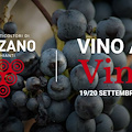 "Vino al Vino 2020", vivere la bio-territorialità: un’edizione speciale nelle aziende di Panzano