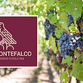 Vino ed etichette allarmistiche, il Consorzio di Montefalco aderisce a Wine in Moderation, programma di responsabilità sociale